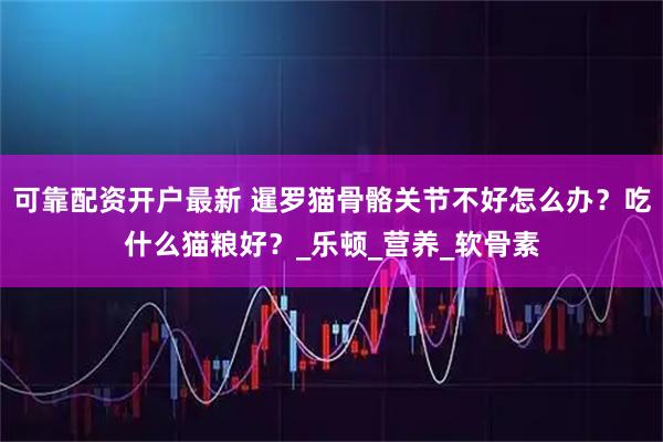 可靠配资开户最新 暹罗猫骨骼关节不好怎么办？吃什么猫粮好？_乐顿_营养_软骨素